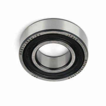 SKF High Precision Deep Groove Ball Bearing 6003/6003-Z/6003-2z/6003-RS/6003-2RS for Auto/Motorbike Accessories